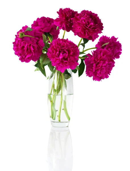 Kytice pivoněk v váza — Stock fotografie