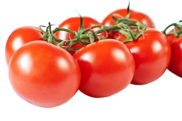 Pomidory z oddziału — Zdjęcie stockowe