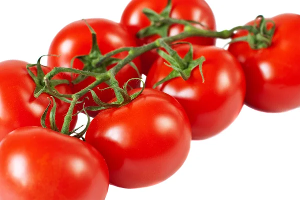 Tomates con rama — Foto de Stock