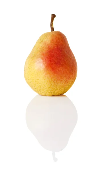One Ripe Pear Comp Duchesse — Stock Photo, Image