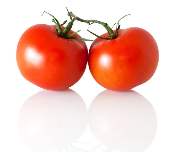 Два помидора на ветке — стоковое фото