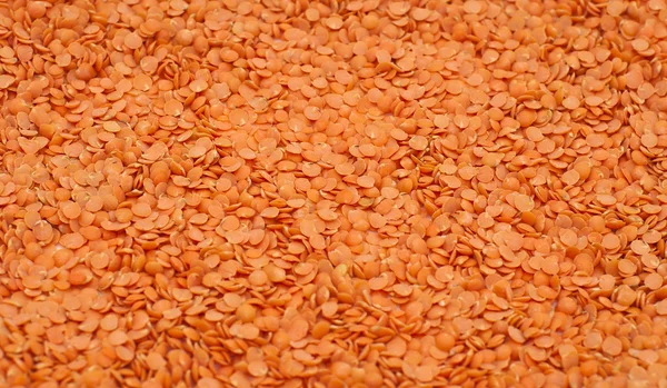 Red lentil, background — Stock Photo, Image