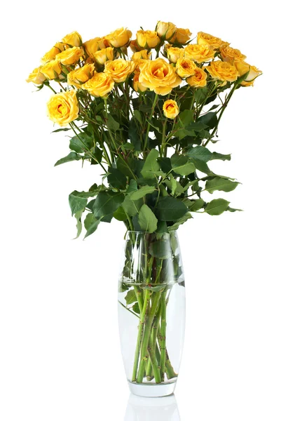 Yellow Shrub Roses Vase Isolated White — Stock Photo, Image