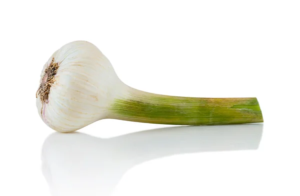 신선한 마늘 — 스톡 사진