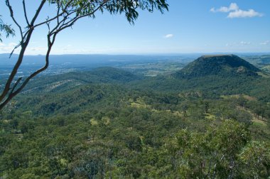 Looking out over the forests and hills at toowoomba clipart