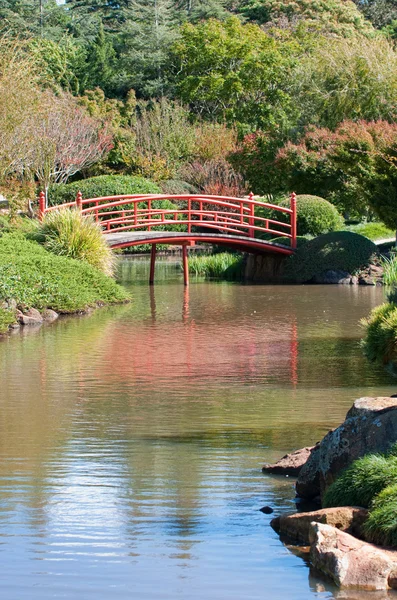 stock image Beautiful garden and park