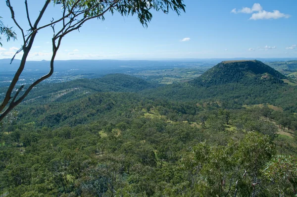 Patrząc Lasy Wzgórza Toowoomba — Zdjęcie stockowe