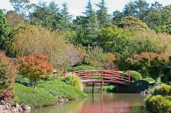 Piękny ogród i park — Zdjęcie stockowe