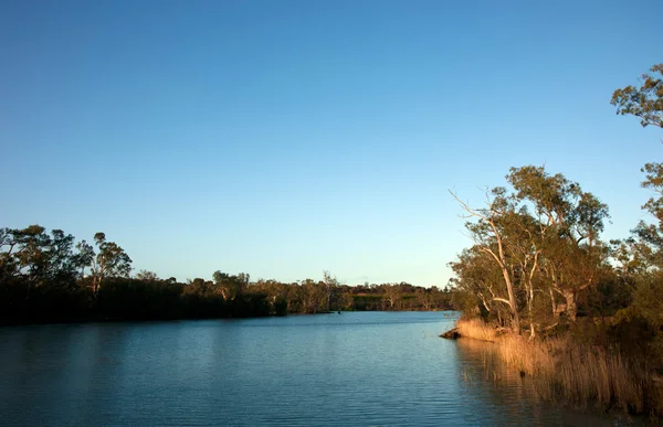 Solnedgång Vattnet Floden Murray Södra Australien — Stockfoto