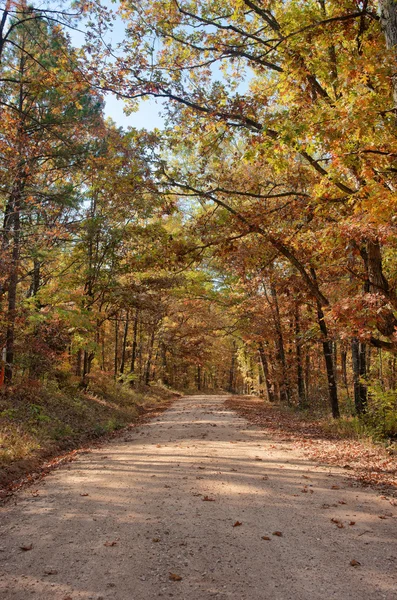 Land Landelijke Weg Door Het Bos Herfst Najaar — Stockfoto