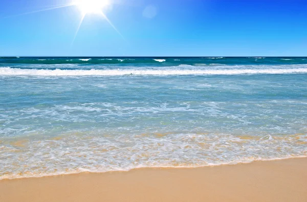 Perfect tropical beach — Stock Photo, Image