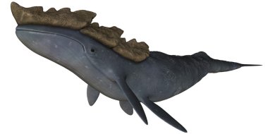 Leviathan'ın