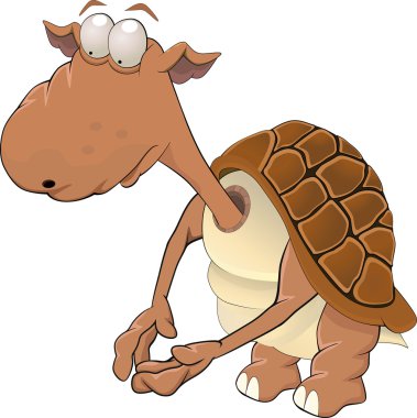 Turtle clipart