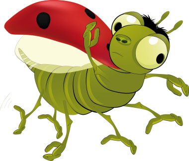 Ladybird clipart