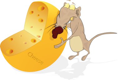 sıçan ve peynir