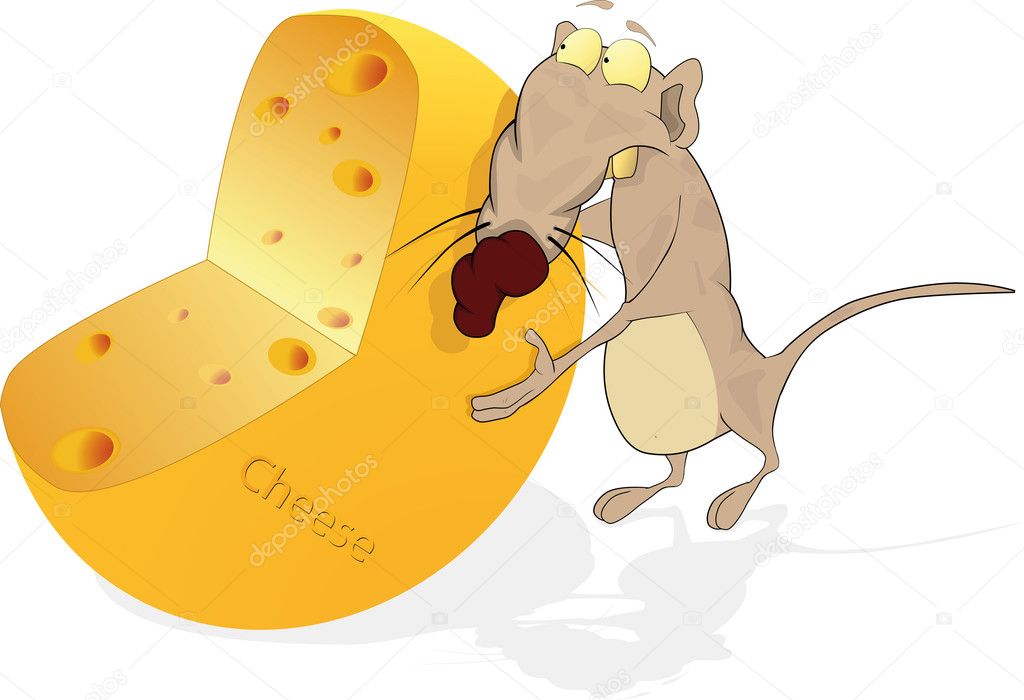 Rat and cheese
