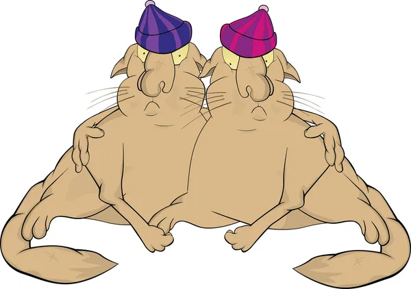 Kočky dvojčata. kreslený — Stockový vektor