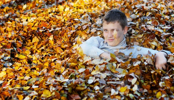 stock image Boy in autumn leaves