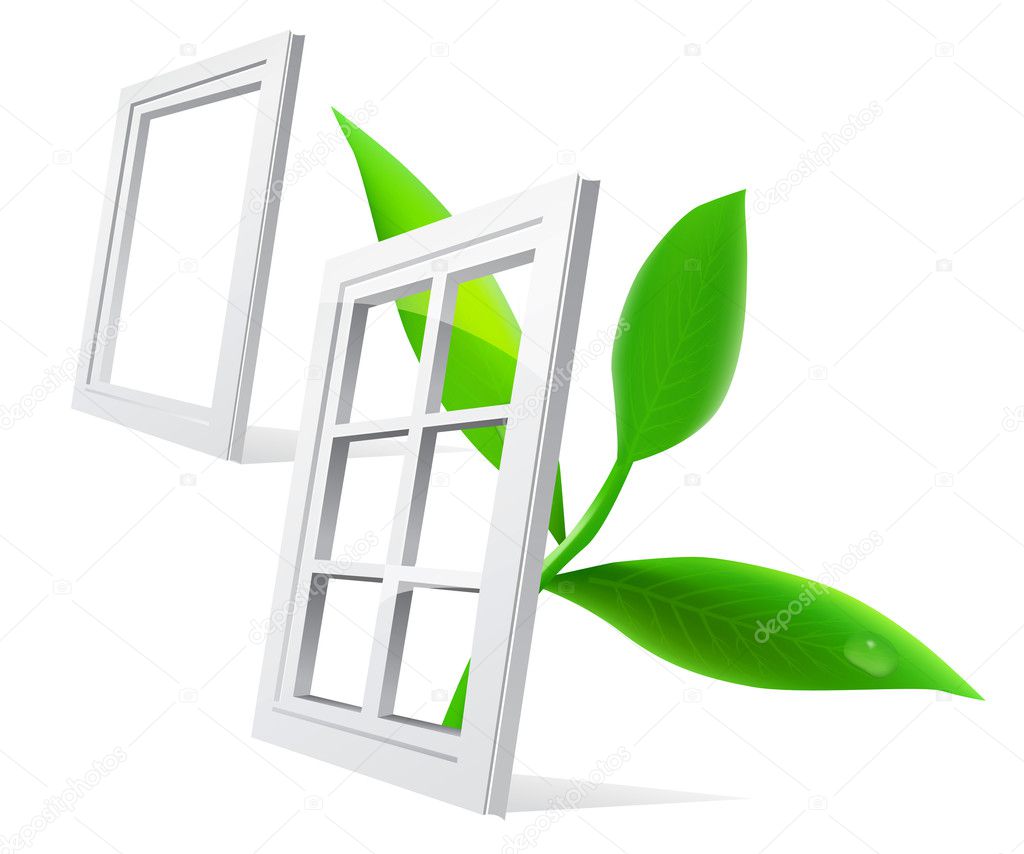 Vector window and leaf isolatde on white background