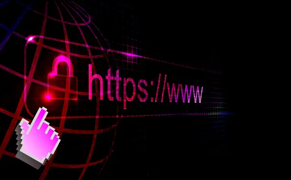 HTTPS korumalı web sayfası — Stok Vektör