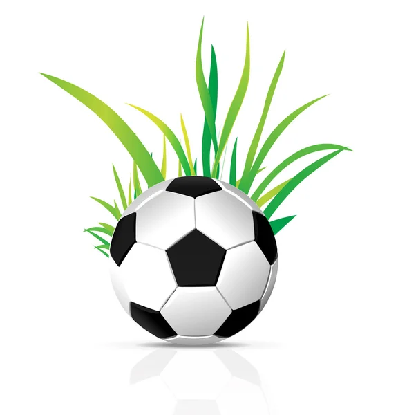 Vector soccer ball — Stock Vector