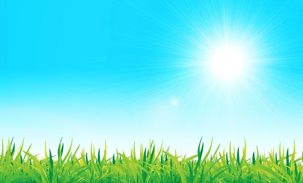 Vectorgroen gras en blauwe lucht — Stockvector