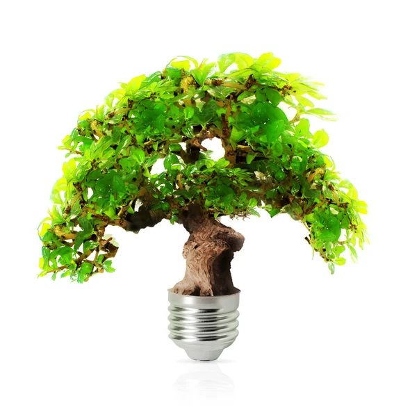 Eco energy — Stock Photo, Image