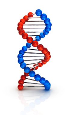 Dna 3d render clipart