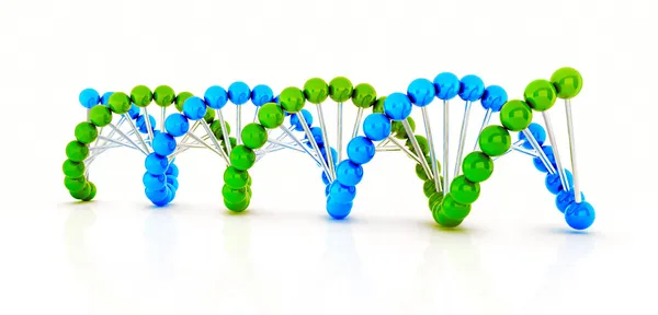 ДНК 3d візуалізації — стокове фото