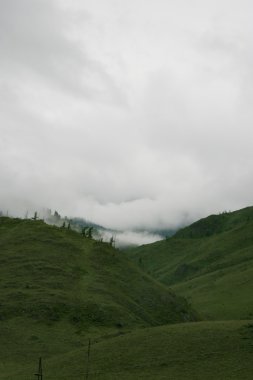 Mystical fog in valley of mountains clipart