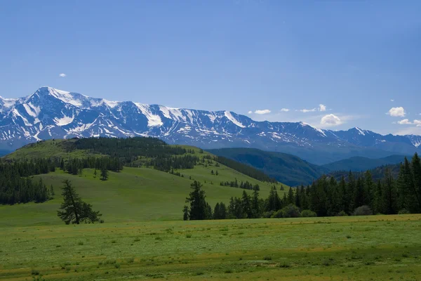 Naturaleza paisaje, prado y montañas, vida silvestre de Altay — Foto de Stock