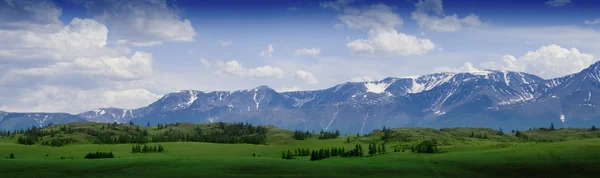 Природный пейзаж, луг и горы, дикая природа Алтая — стоковое фото