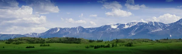 Nature landscape, meadow and mountains, wildlife of Altay — Stock Photo, Image