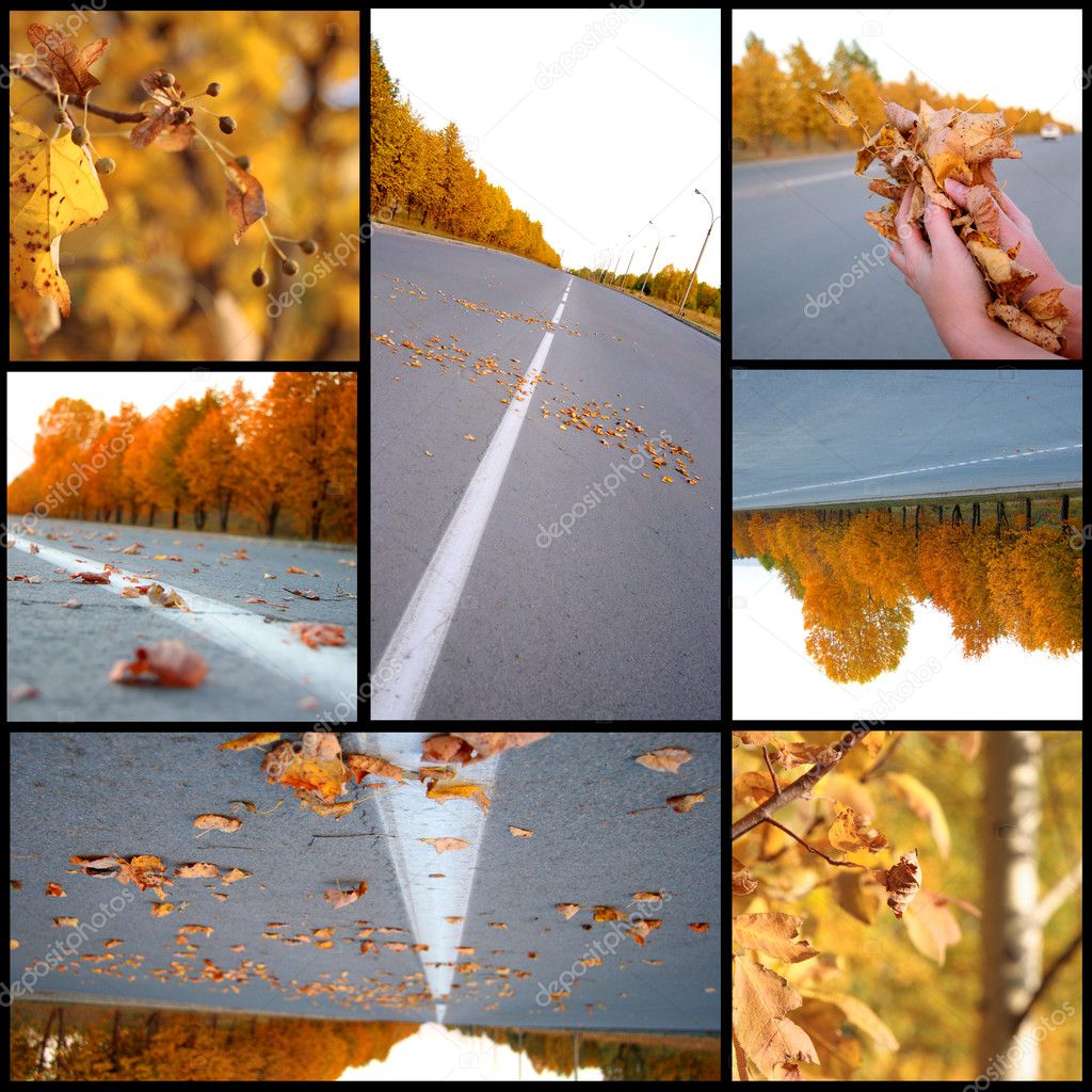 Autumn season beautiful, collage Stock Photo by ©Kudryashka 4295783