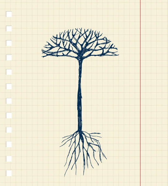Sketch Tree Roots Your Design — Stock Vector
