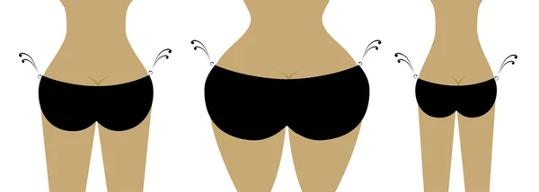 Bikini bottom for your design, view back — Stock Vector