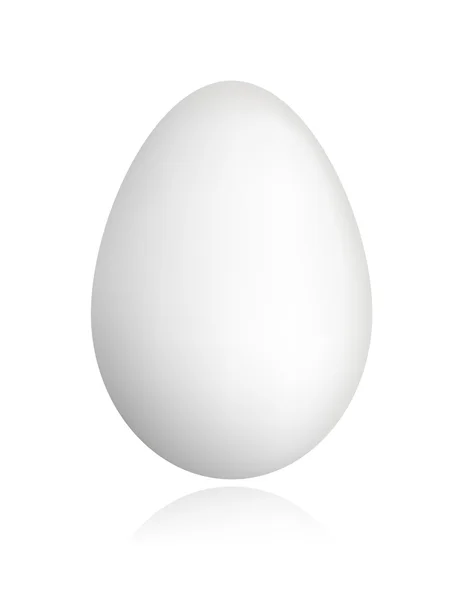 stock vector White egg for your design