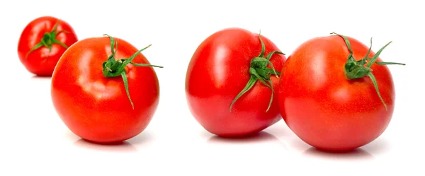 Сочные свежие томаты — стоковое фото