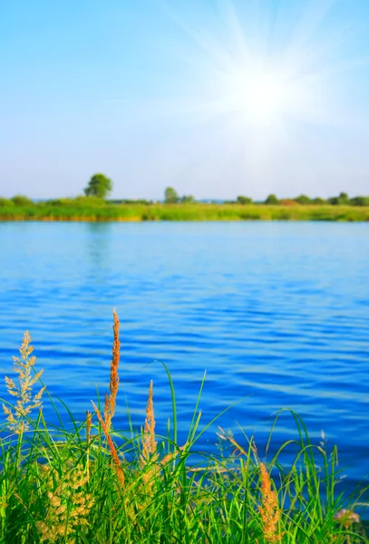 Summer landscape with lake — Stock Photo, Image