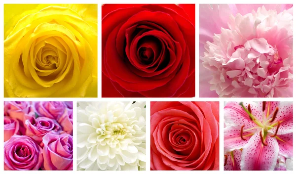 stock image Floral background