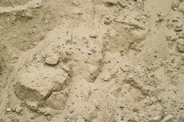 모래에 돌 — 스톡 사진