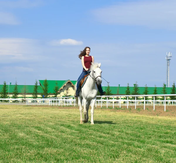 Flickan omfamnar en vit häst — Stockfoto