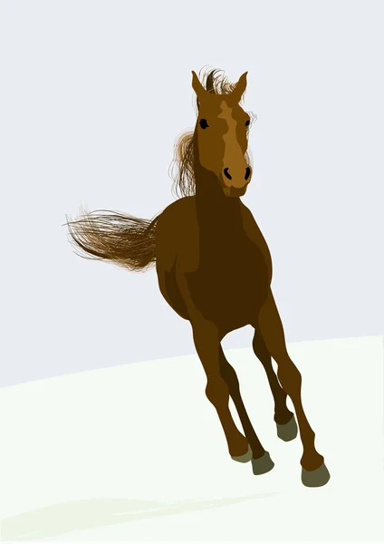 Bonito cavalo de corrida — Fotografia de Stock
