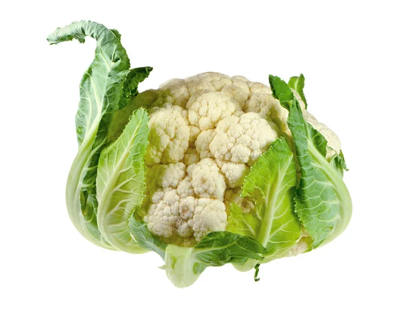 Cabbage cauliflower — Stock Photo, Image