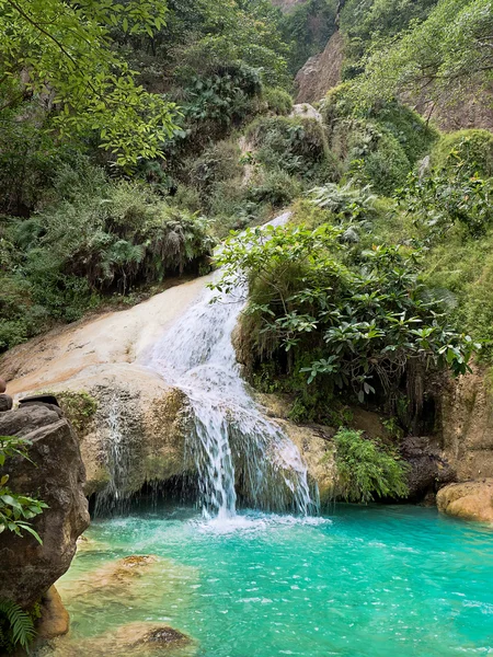 Waterfall in the jungle — Stock Photo, Image