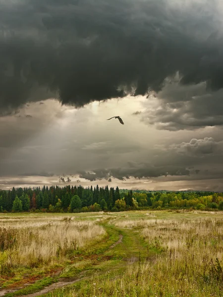 stock image Siberian landscape