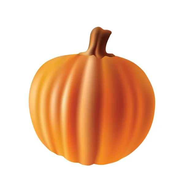 stock vector Pumpkin.