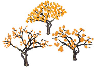 Autumn trees. clipart