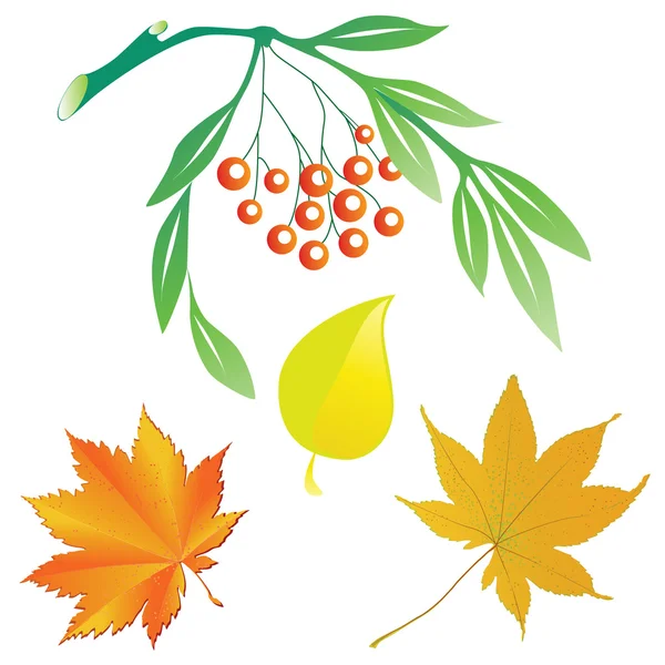 Őszi levelek és egy rakás hamu. — Stock Vector