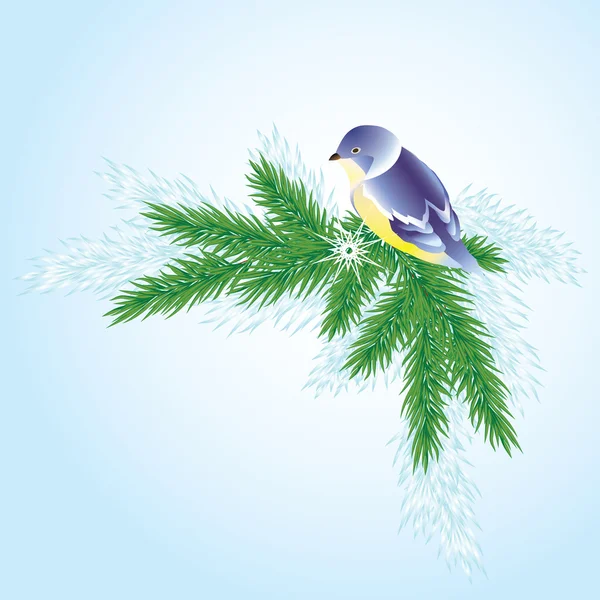 Un pájaro en una rama de pino . — Vector de stock